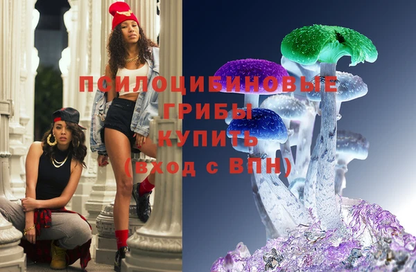 винт Бородино