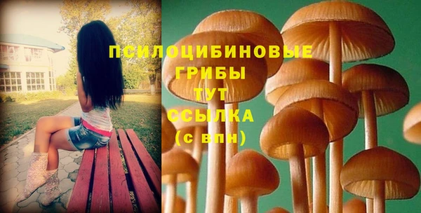 ГАЛЛЮЦИНОГЕННЫЕ ГРИБЫ Бронницы