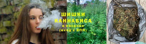 ГАЛЛЮЦИНОГЕННЫЕ ГРИБЫ Бронницы
